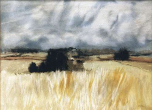 Summer, Kincardinshire by Donald Morrison Buyers